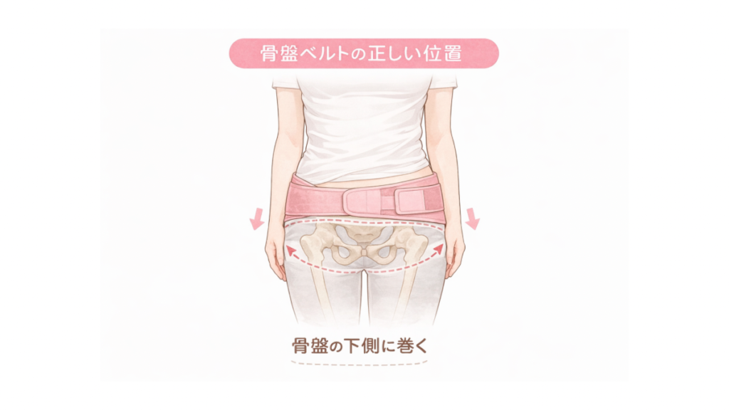 産後の骨盤ベルトはどこに巻く?骨盤の下側に装着する正しい位置を示した図