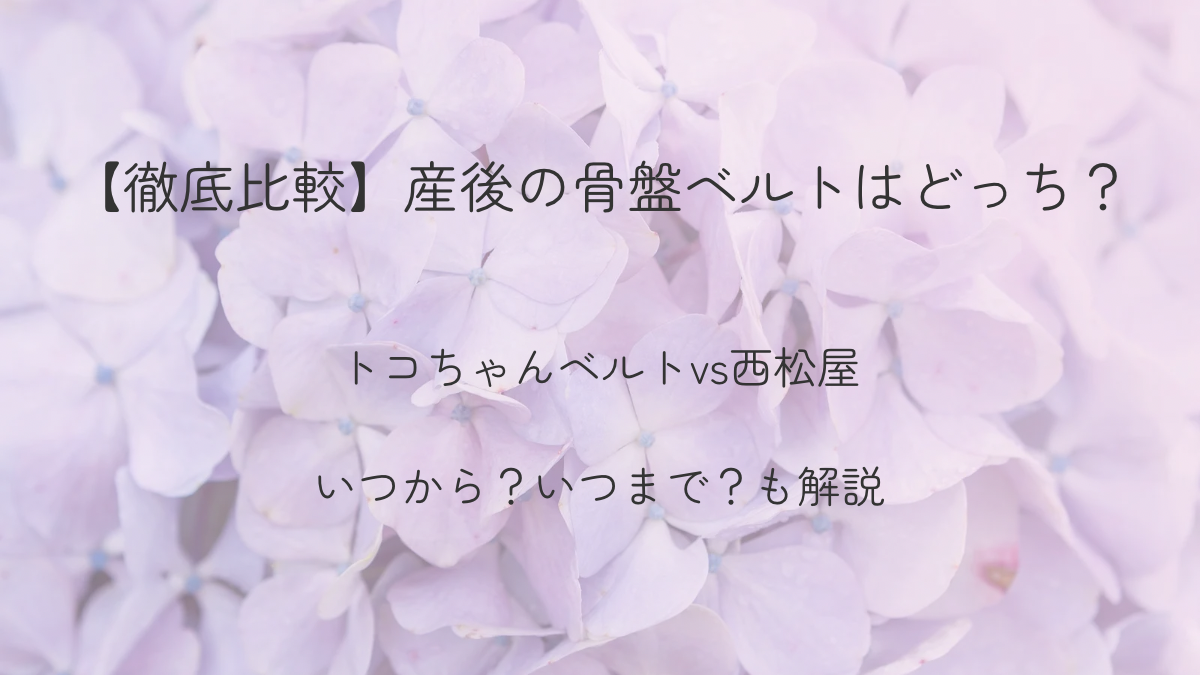 トコちゃんベルトを徹底比較する記事のアイキャッチ。紫陽花背景で産後ママの骨盤ケアを解説