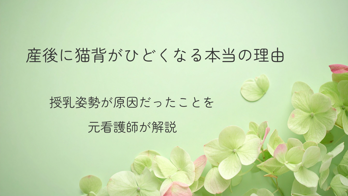 産後に猫背がひどくなる本当の理由｜授乳姿勢が原因だったことを解説する記事のアイキャッチ画像（セージグリーン背景と紫陽花）
