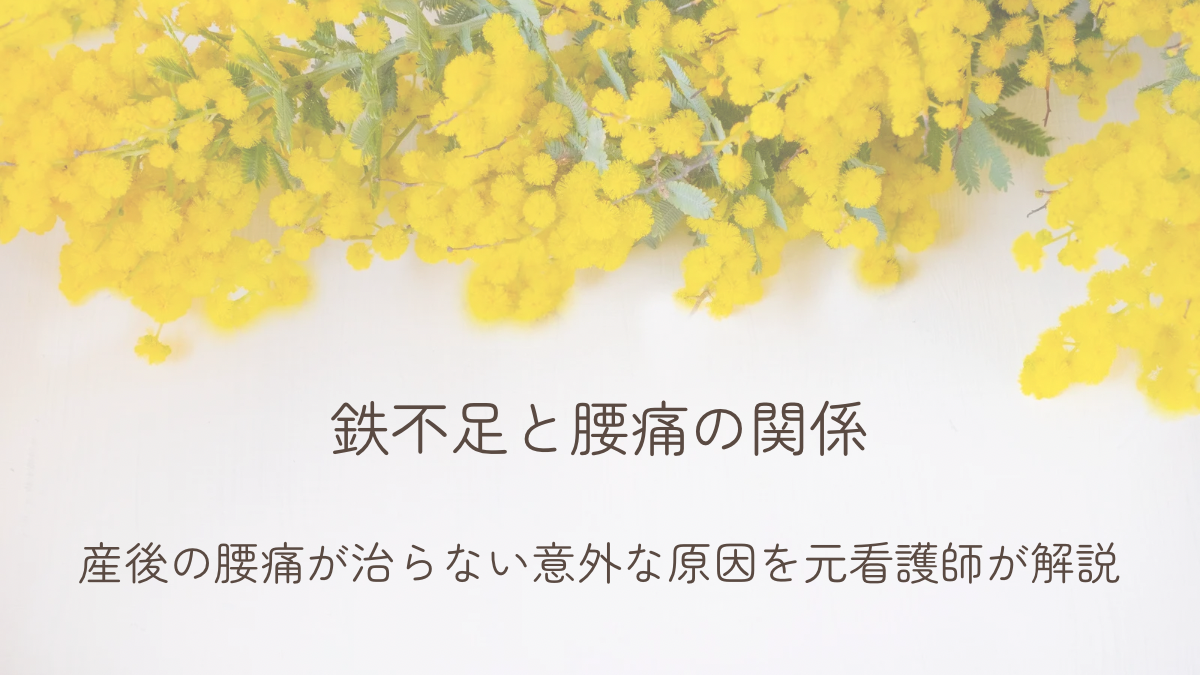 鉄不足と産後腰痛の関係を解説する記事のアイキャッチ画像（白背景とミモザ）
