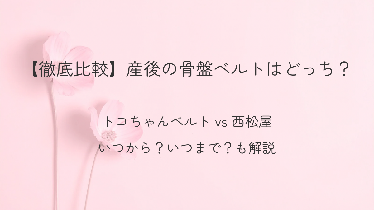 トコちゃんベルトを徹底比較する記事のアイキャッチ。紫陽花背景で産後ママの骨盤ケアを解説